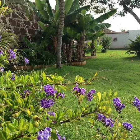 Finca Las Acacias Vakantiehuis